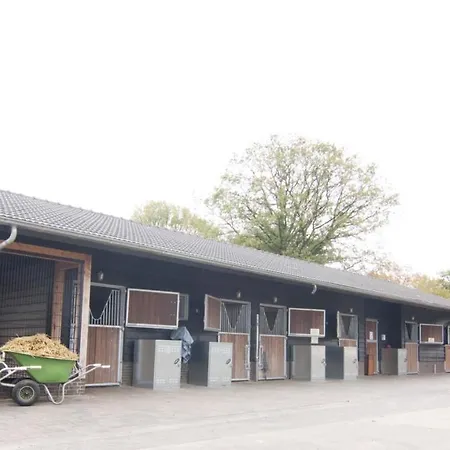 6 Pers. Veluwelodge Wellness