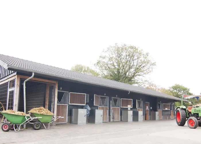 6 Pers. Veluwelodge Wellness