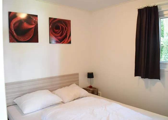 6 Pers. Veluwelodge Wellness