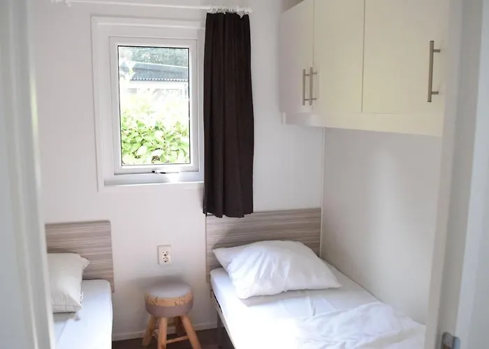 6 Pers. Veluwelodge Wellness * Voorthuizen