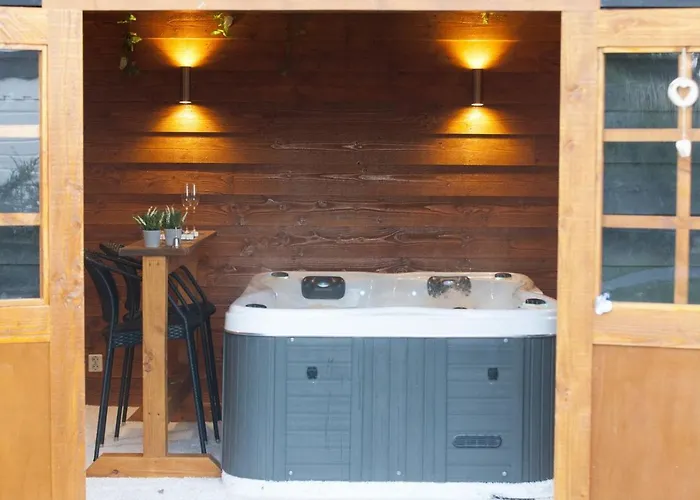 6 Pers. Veluwelodge Wellness Chalet *